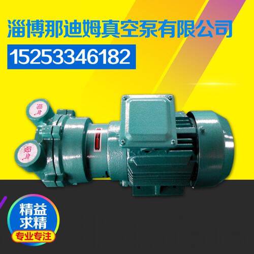 山东真空泵厂家专业供应2BV2061(1.45KW)水环式真空泵 水环真空泵