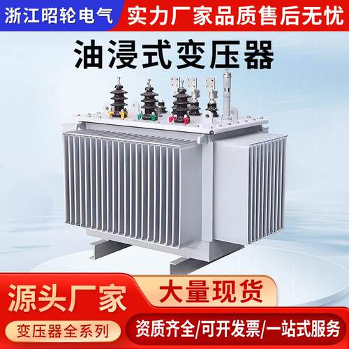 S11-S13-S20油浸式变压器10kv电力变压器160千伏安500/1250KVA
