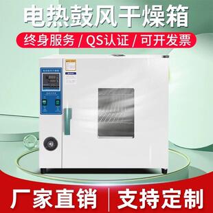 电热恒温鼓风干 干燥箱实验室小型烘箱食品烘干 干机工业高温烤箱