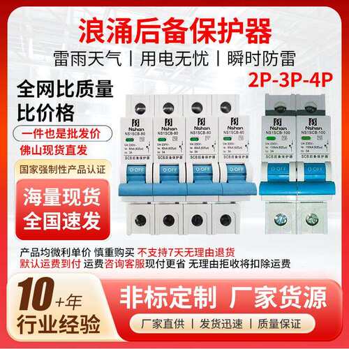 上海人民NS1SCB系列一级二级浪涌后备保护器230V浪涌保护器