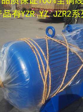 电机厂家 供应JZ251-8 22kw 治金起重专用电动机YZ YZR JZR2 JZ