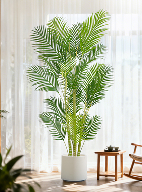 仿真绿植散尾葵假盆栽客厅树大型凤尾竹室内装饰仿生植物花摆件
