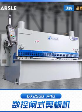 6x2500数控摆式剪板机小型数控剪板机不锈钢剪切机剪板机厂家