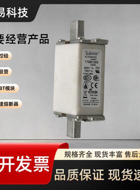 170M1568170M1569170M1570170M1571170M1572熔断器170M系列