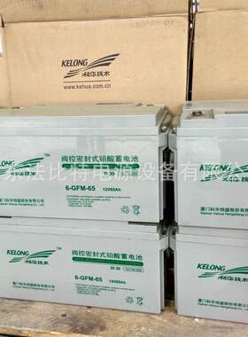 科华技术阀控密封式铅酸蓄电池6-GFM-65免维护12V65Ah UPS电源