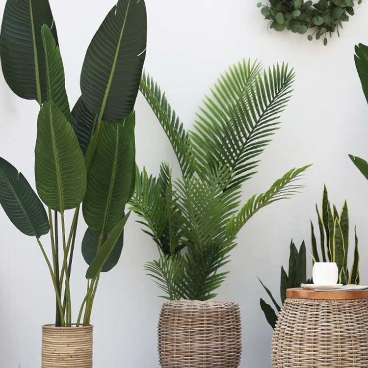 代发北欧植物盆栽龟背竹旅人蕉客厅假绿植大型落地盆景摆件装饰