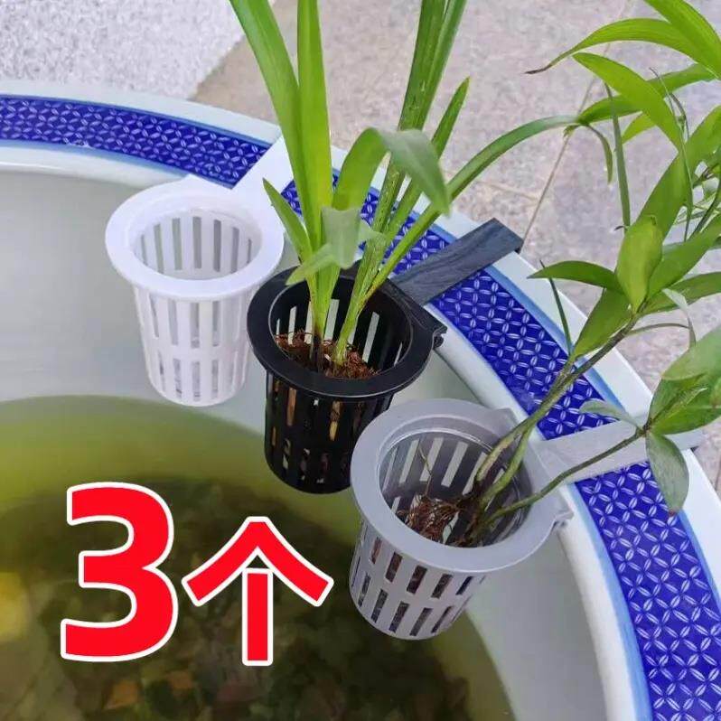 鱼缸绿植挂篮水培红薯篮水培定植篮造景装饰配件古法鱼缸水培挂篮图片