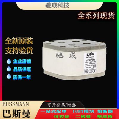 巴斯曼170M7046 170M7047 170M7053 厂家原装质优价廉 低压熔断器