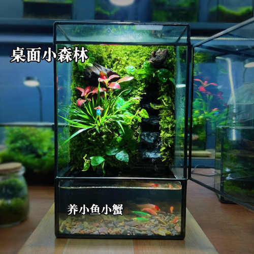 p9j创意造景雨林缸生态流水养鱼微景观桌面摆件鱼缸小型家用