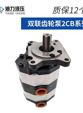 液压轮油泵B-FQGHc10-Fa16/20/25/32/40/31.5/5C0液压2泵CB齿-FC1