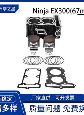 摩托车发动机气缸适用于川崎忍者ninjaEX300Versys-X30067mm