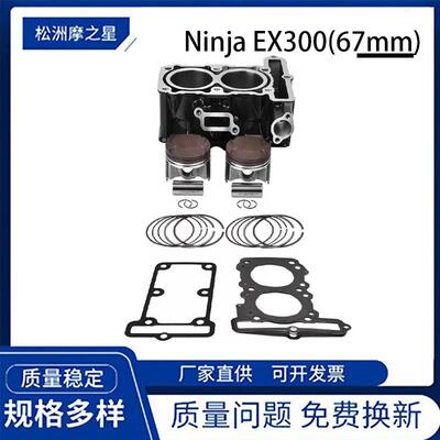 摩托车发动机气缸适用于川崎忍者ninjaEX300Versys-X30067mm