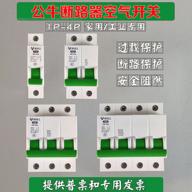 公牛空气开关家用小型断路器电闸，1p2p3p4p63a100a空开过载保护