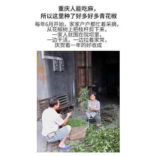 麻椒粉九叶青花椒粉家用商用特麻花椒面 面四川袋装散装100g包邮