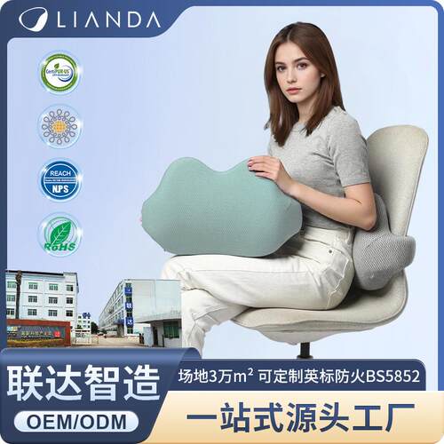 跨境腰靠 猫脸座椅护腰医院办公礼品靠枕记忆棉简约回弹腰靠