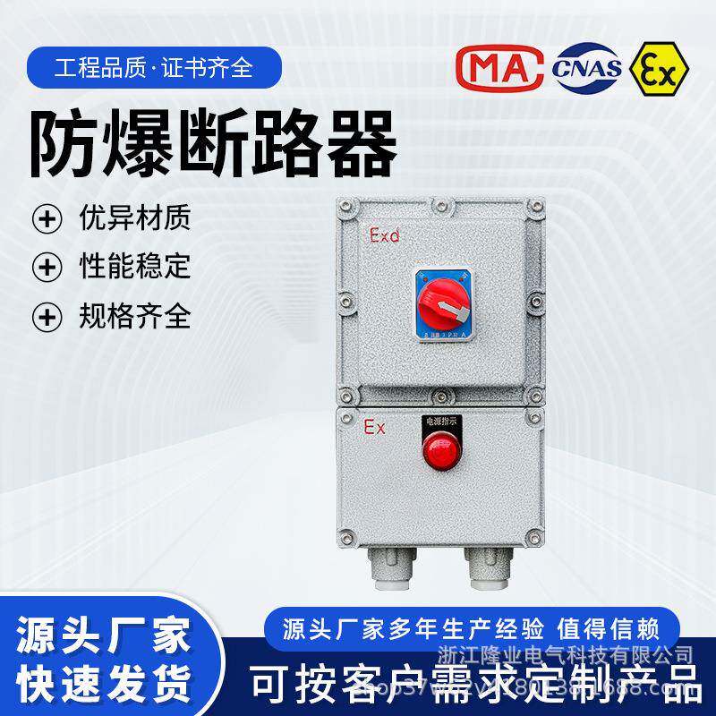 BDZ52同款IIB级铸铝防爆断路器220V/380V防爆开关箱带漏电保护