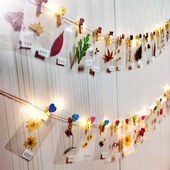 树叶干花标本塑封卡片装 饰幼儿园小学教具书签森系小清新生日礼物