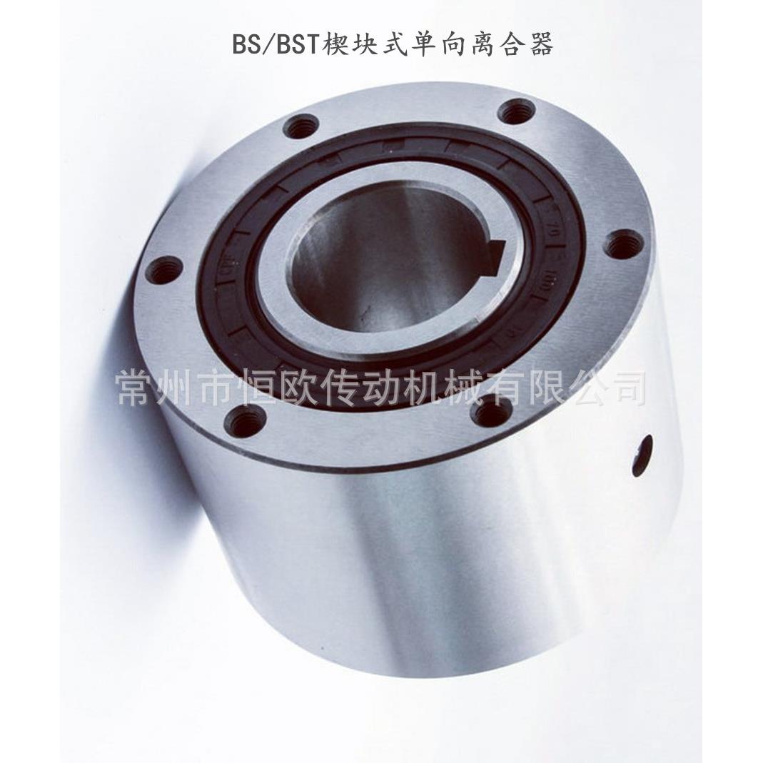 单向超越离合器 BS110-85J BS110-95J BS110-100J 逆止器