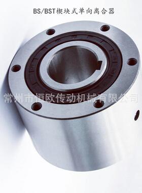 单向超越离合器BS65-45JBS65-50JBS65-55JBS65-65J逆止器