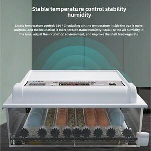 家用孵化器全自动智能孵蛋器小鸡孵化箱小型孵化机科教孵蛋箱水床