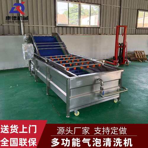 网带自动出料火龙果清洗机三七去泥沙清洗设备枇杷气泡清洗机