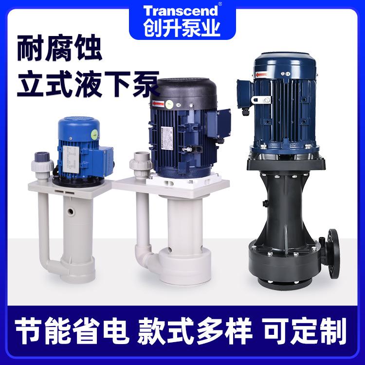 创升耐酸碱化工立式泵PP塑料耐腐蚀可空转槽内加长轴立式液下泵