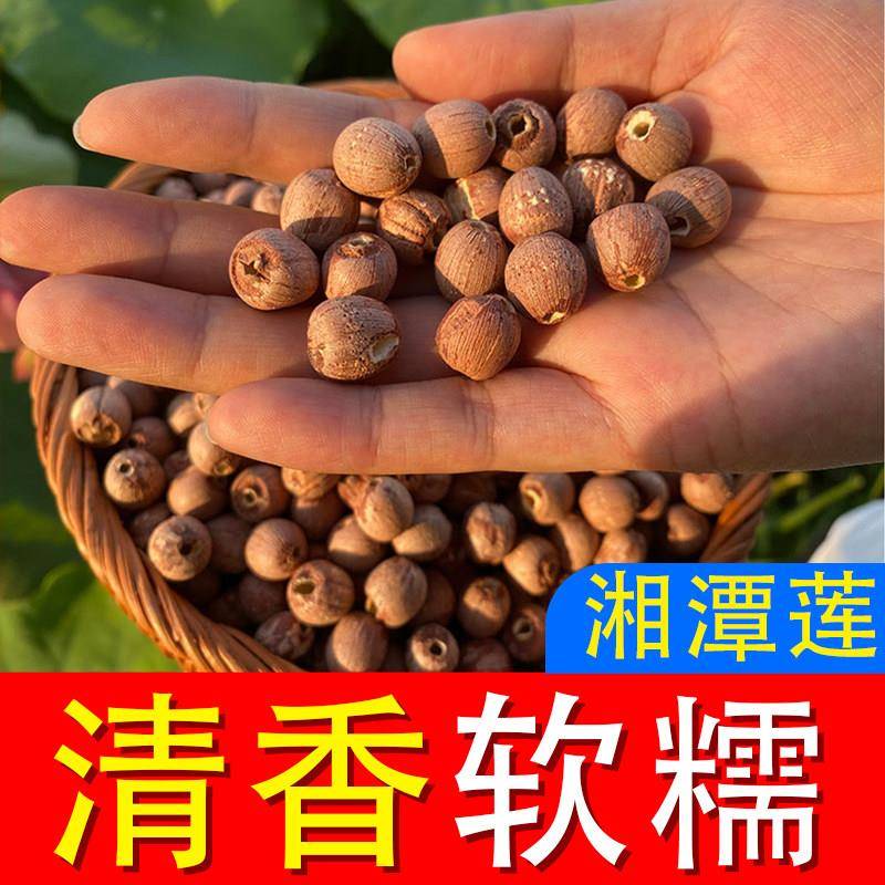 【特级无硫】湘潭红莲子去芯真空包装新鲜红皮湖南干货特产怀山