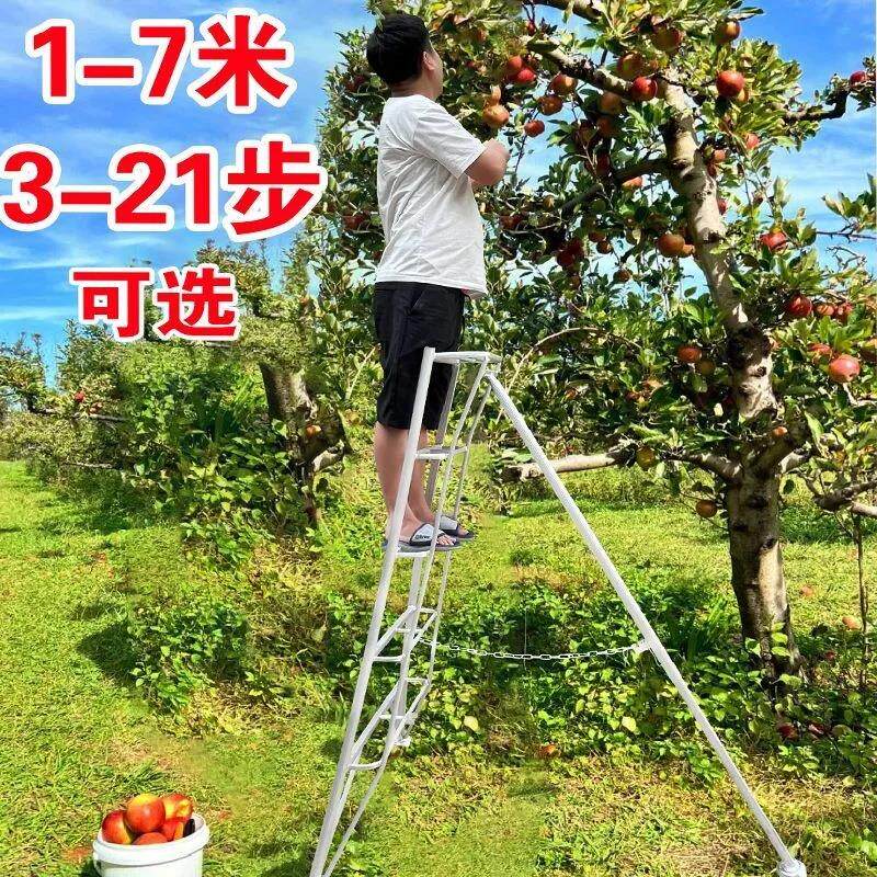 铝合金加厚果园专用三角梯果树采摘修剪三脚梯子多功能家用人字梯