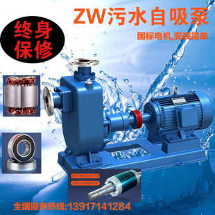染料厂造纸厂管路排污水增压自吸泵 65ZW25 50铸铁 不锈钢 化工厂