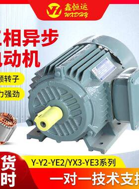 YE2-80M1-2三相异步电动机0.75W2级卧式印刷设备用三相电动机