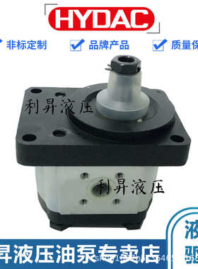 贺德克HYDAC Technology 齿轮泵 PGE101-100/250/500-RBQ1-N-3700