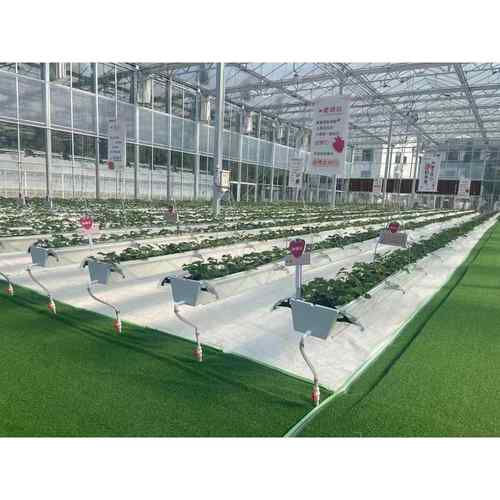 智能温室设备 全自动升降种植槽 升降种植槽 水培槽