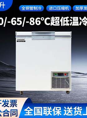 驰雪超低温冰柜零下60度138升商用海鲜深冷柜-80度实验室冷冻卧柜