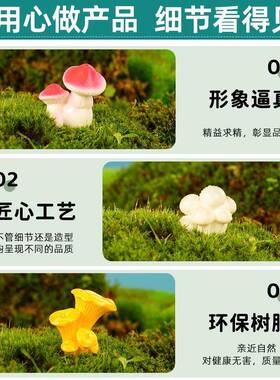 苔藓微景观创意简约仿真小蘑菇 多肉园艺造景装饰品配件小摆件