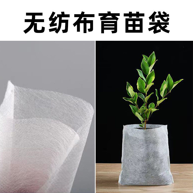 无纺布育苗袋热卖可降解营养钵园艺种植袋白色容器杯苗木美植袋子