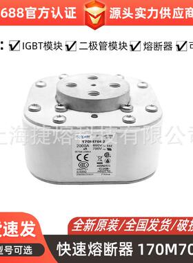 170M7062 170M7063 快速熔断器 保险丝 电子元器件 量大价优
