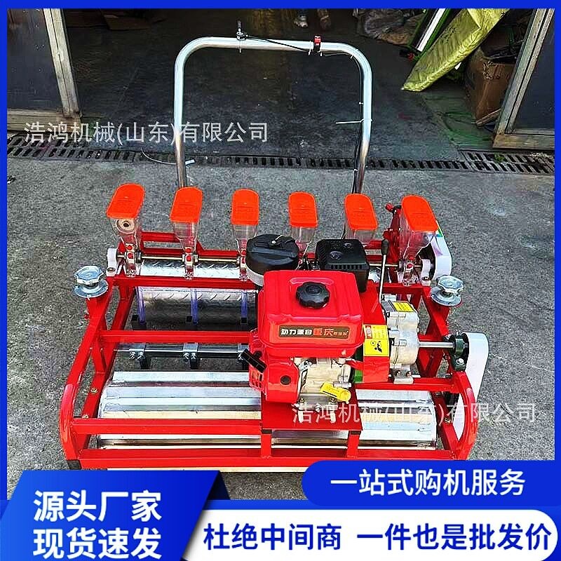 多功能谷物精播机香菜柴胡白术桔梗播种机蔬菜点播机蔬菜播种机