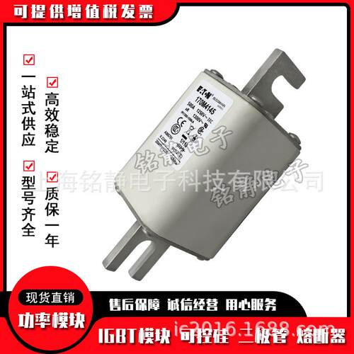 170M4608 170M4609 170M4610 170M4611 170M4612熔断器170M4613