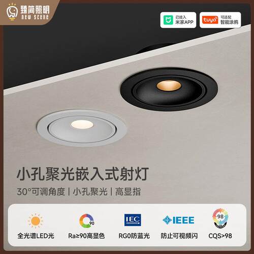 一束光3/5/8度嵌入式小角度射灯玄关茶室饭厅重点照明LED射灯