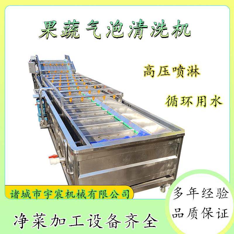 天麻清洗机连续式中药材清洗加工设备太子参清洗机丹参气泡清洗机