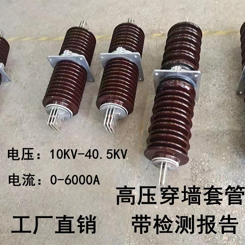 高压穿墙套管10KV-20KV-24KV-35KV户内外陶瓷铜排穿墙瓷瓶CWC-CWB