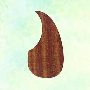 Sticker Plate Guard Pickguard scratch Pick Anti Guitar