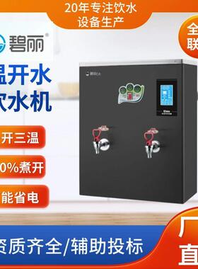 成都直饮机碧丽双聚能步进式开水器商用学校医院钛金开水机