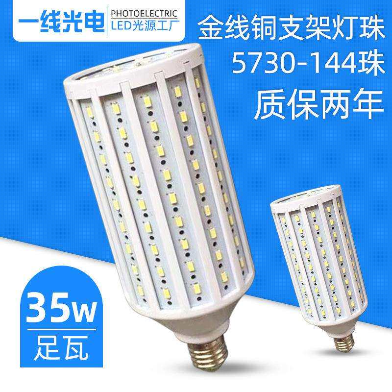 LED足功率30W瓦工程节能暖白冷白恒流庭院灯玉米灯节能照明