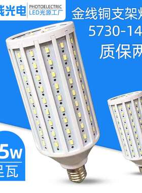 LED足功率30W瓦工程节能暖白冷白恒流庭院灯玉米灯节能照明