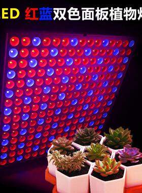45W/1物4WLED植物灯ILT物植面板灯育苗灯红蓝植物补光灯45w植灯