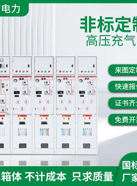 SRM16-12全绝缘全封闭高压气体环网柜SF6开关柜高压充气柜KYN8