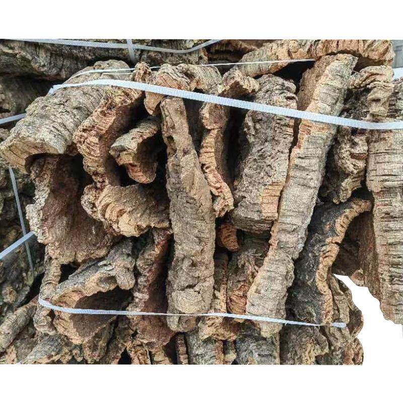 葡萄牙软木真树皮鹿角蕨挂板定值板蝴蝶兰石斛种植板