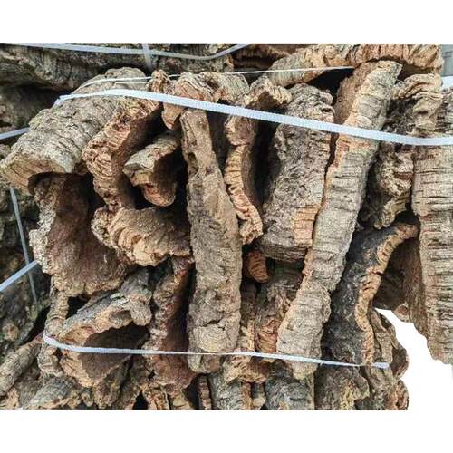 葡萄牙软木真树皮鹿角蕨挂板定值板蝴蝶兰石斛种植板