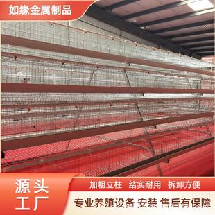 阶梯蛋鸡笼四层四门白槽养殖场鸡用笼具加粗A字型家用阶梯蛋鸡笼